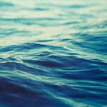Kenapa Manusia Tidak Bisa Meminum Air Laut? 5 2662947424