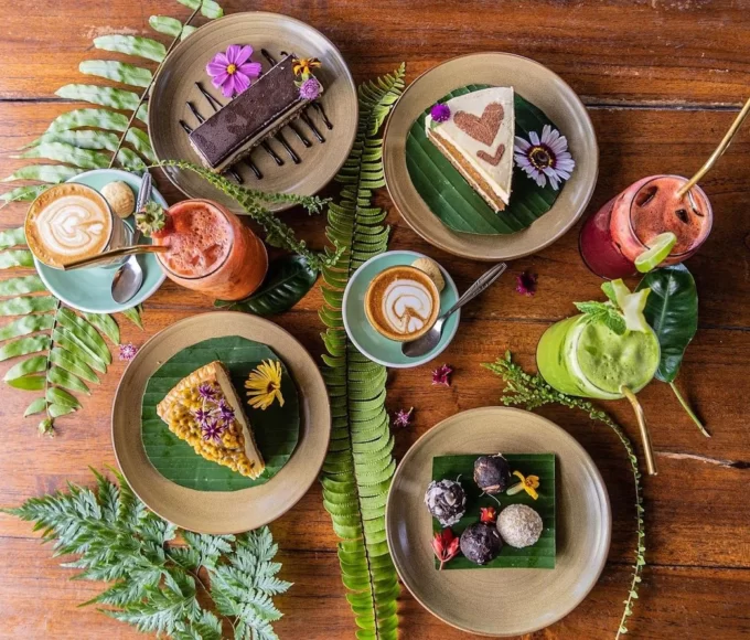 cafe di bali cover 2 s.h.e.l.t.e.r