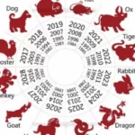 4 Shio Ini Diprediksi Paling Beruntung dan Cuan di 2024! 5 ramalan shio