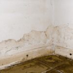 Akibat Musim Hujan Terus-menerus, Dinding Rumah Berjamur, Begini Cara Atasinya 3 solusi cat tembok anti jamur dan cat tembok menggelembung 1632794983