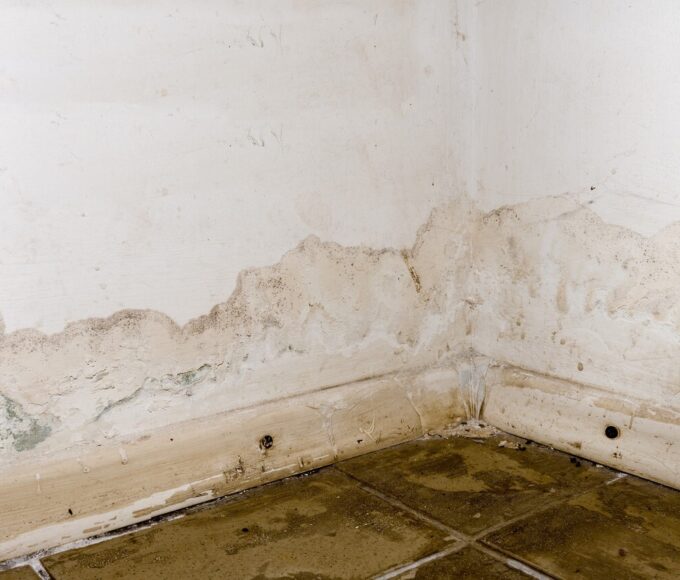 solusi cat tembok anti jamur dan cat tembok menggelembung 1632794983