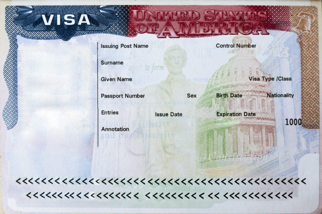 what does a visa look like 1