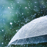 7 Barang Wajib Ada di Tas Saat Musim Hujan, No.4 Wajib Ada! 3 f773b5626a2af501de7f9bb99aca12d8