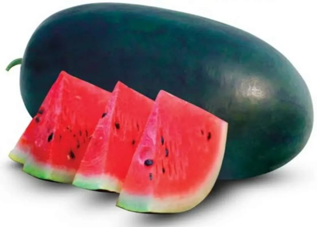 hasilsumberalam hasilsumberalam buah semangka inul lonjong isi merah long oval watermelon 1 pcs full01 c6yk58lx