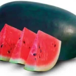 hasilsumberalam hasilsumberalam buah semangka inul lonjong isi merah long oval watermelon 1 pcs full01 c6yk58lx