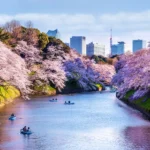 3 Rekomendasi Wisata Favorit di Dunia, No.2 Sering Dijadikan Tujuan Wisata 3 New Chidorigafuchi Park Tokyo Credit GettyImages 1148634785
