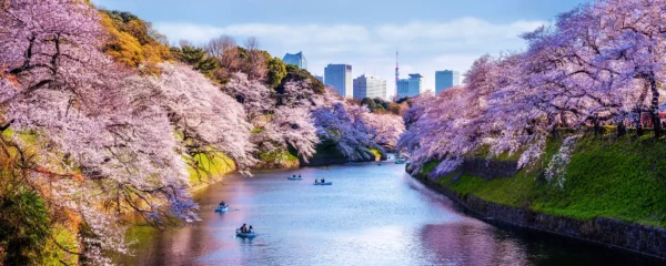 New Chidorigafuchi Park Tokyo Credit GettyImages 1148634785