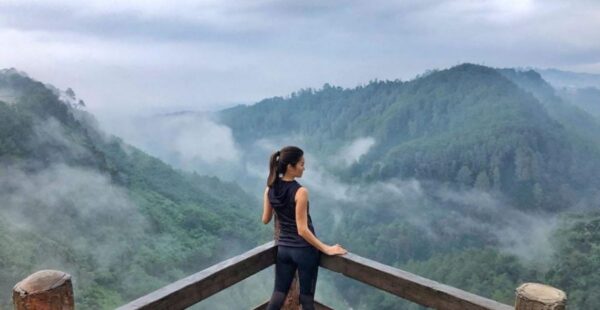 dc19513d 4aae 481b aeca ae83800d4d82