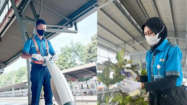 1677575222 63fdc43643336 t1bf85wtXM9ITulwL2rO