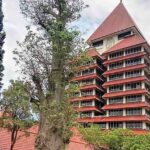 Pendaftaran Jalur Talent Scouting UI 2024 Sudah Dibuka, Berikut Syarat Beserta Daya Tampungnya! 5 KKI UI Talent Scouting