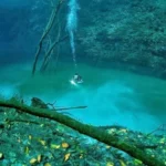 Kenapa Air Laut Asin Sedangkan Air Sungai Tawar? Ini Dia Penjelasannya! 5 ada sungai di bawah laut kok bisa25