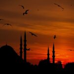 pexels ahmet arslan 6062628