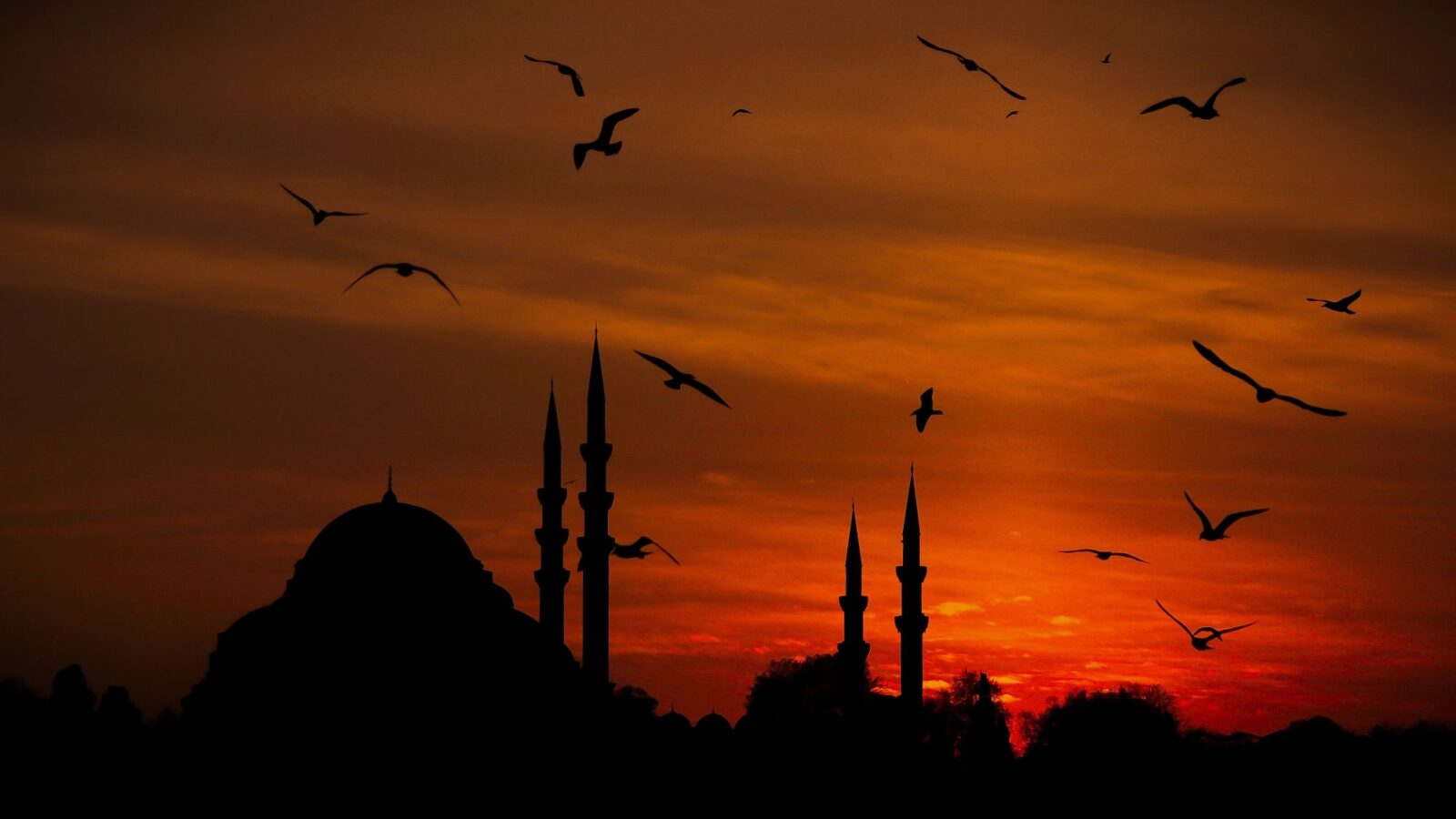 pexels ahmet arslan 6062628