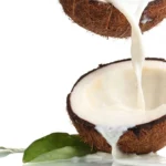 232835 santan kelapa 1265 711