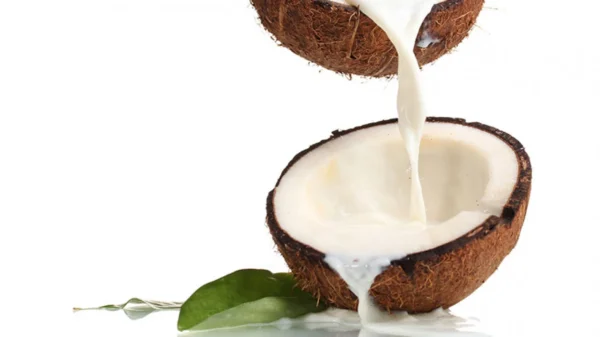 232835 santan kelapa 1265 711