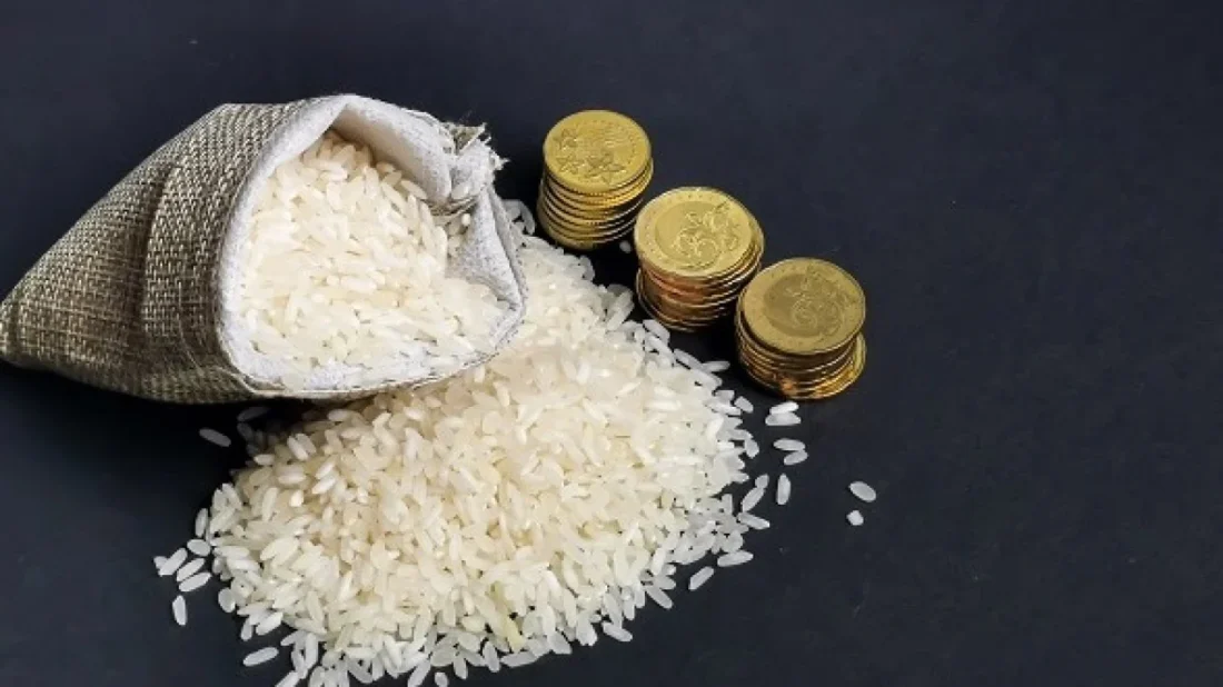 6262620364a60 ilustrasi zakat fitrah 1265 711