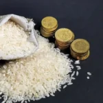 6262620364a60 ilustrasi zakat fitrah 1265 711