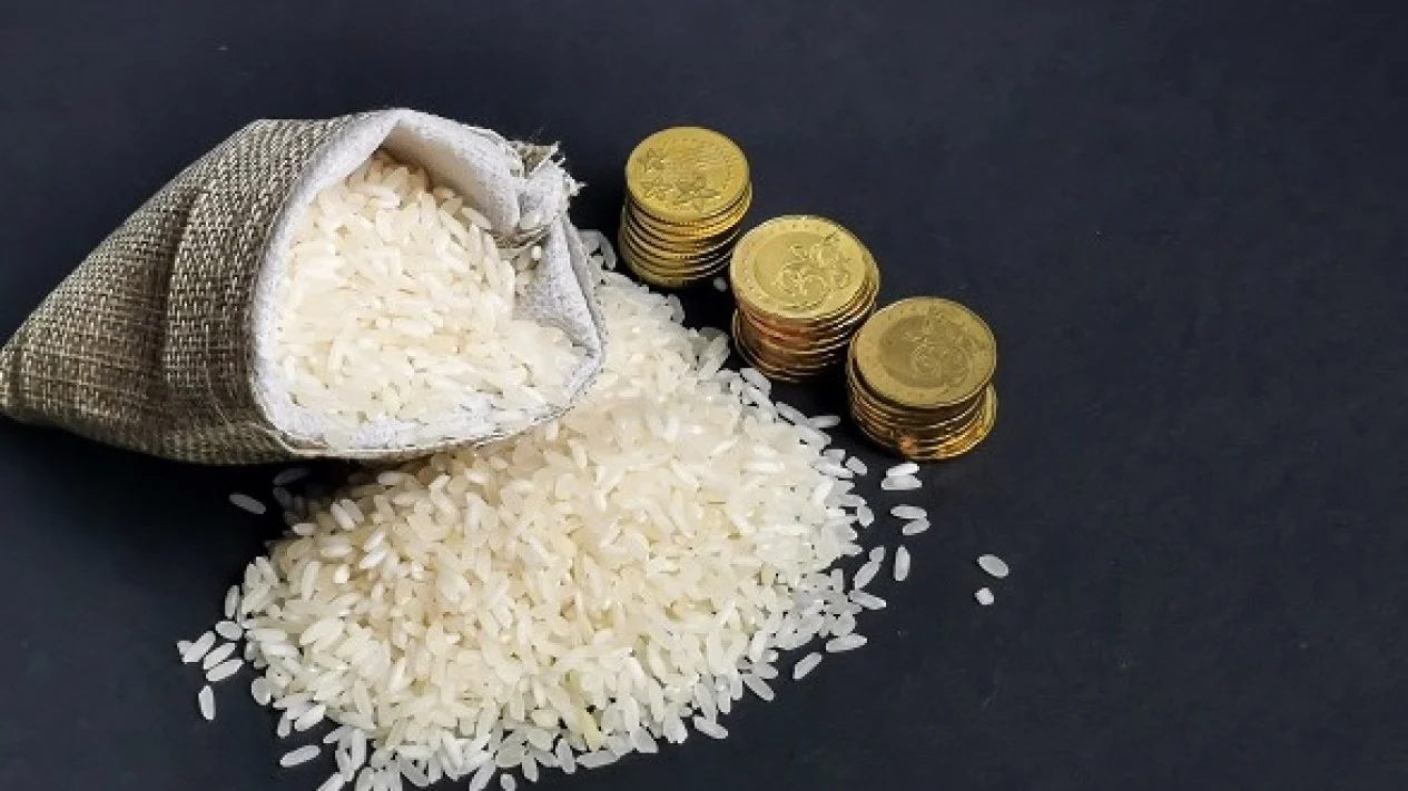 6262620364a60 ilustrasi zakat fitrah 1265 711