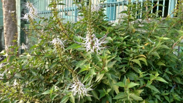 f4046c2dd991d83cbca75bf8b4b31e6e