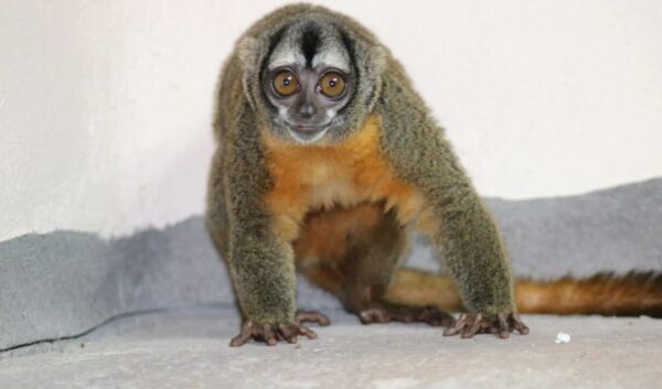 feedImage 2024 1 16 1705395515889 cs11z