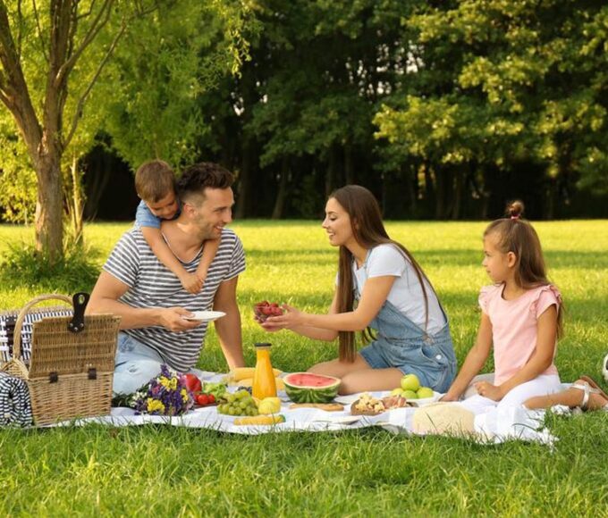 B600071 Cover sejarah hari piknik sedunia