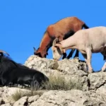 Screenshot 2023 09 05 09 28 58 65 680d03679600f7af0b4c700c6b270fe7 3112403616