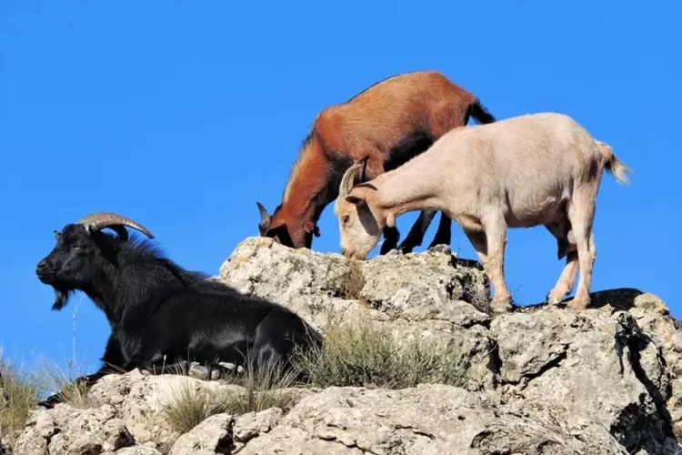 Screenshot 2023 09 05 09 28 58 65 680d03679600f7af0b4c700c6b270fe7 3112403616