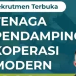 kementerian koperasi dan ukm buka lowongan kerja untuk lulusan s1 1781259078