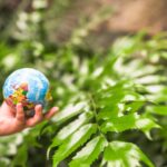close up child s hand holding globe ball front plant 23 2148163867