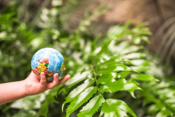 close up child s hand holding globe ball front plant 23 2148163867
