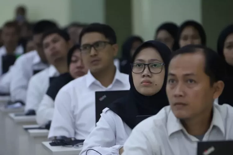 image 50422529JPG 3124253150