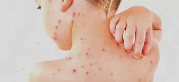 Screenshot 20240521 101038 YouTube 2423412690