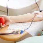 website cms 16927582754302106