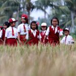 Ini Dia Batasan Umur Saat Masuk TK, SD, SMP, SMA, SMK di SPMB 2025, Yuk Cek! 8 01476936347anak putus sekolah kemendikbud beri solusi
